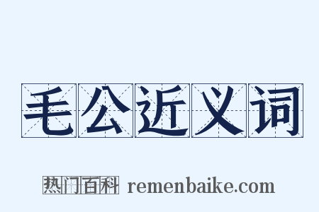毛公近义词是什么意思的图片